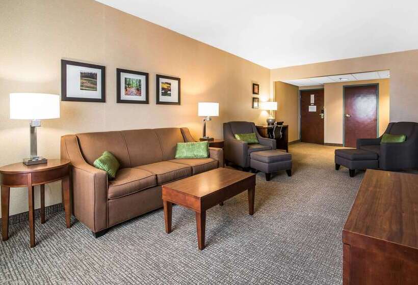 ホテル Quality Inn & Suites