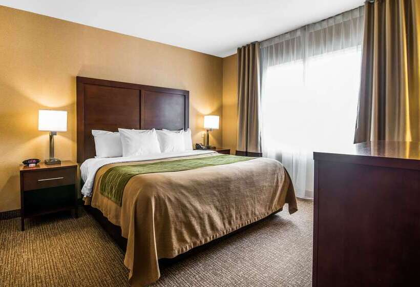 ホテル Quality Inn & Suites