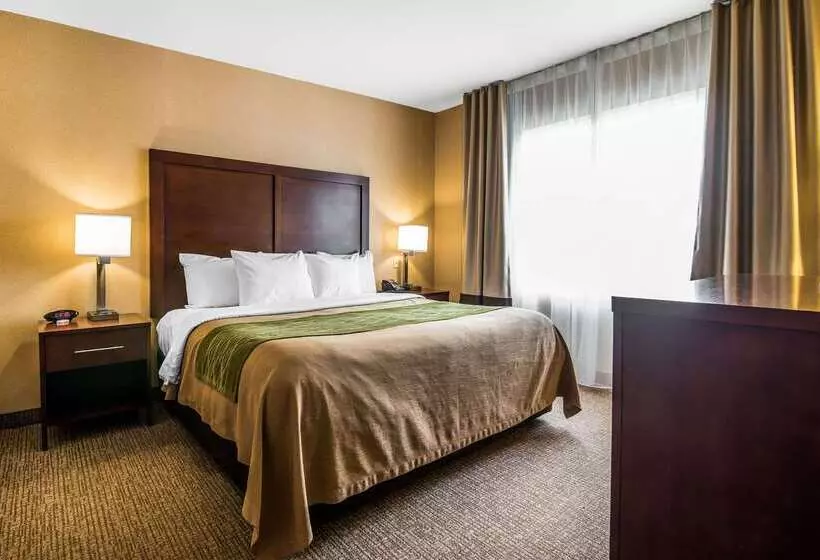 Отель Quality Inn & Suites