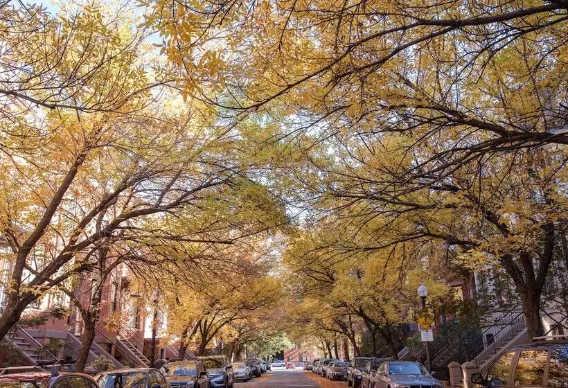 בית מלון כפרי Copley House