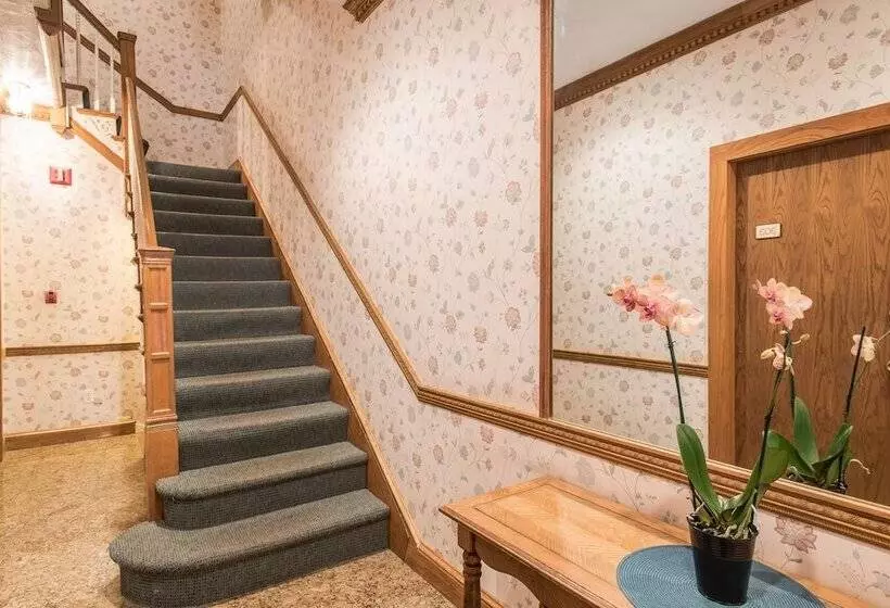 בית מלון כפרי Copley House