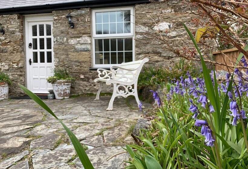 مبيت وإفطار The Residence At Bolenna