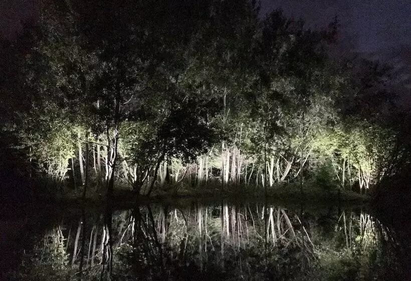 Aamiaismajoitus (B&B) Thewaterfrontlodges