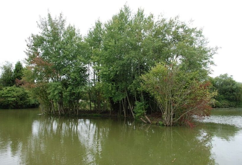 Bed and Breakfast Thewaterfrontlodges