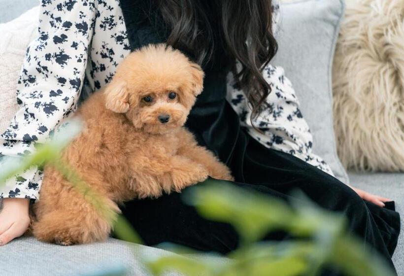 فندق Gendairakuen Isehara