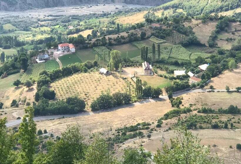 膳宿费 Bujtina Gjana