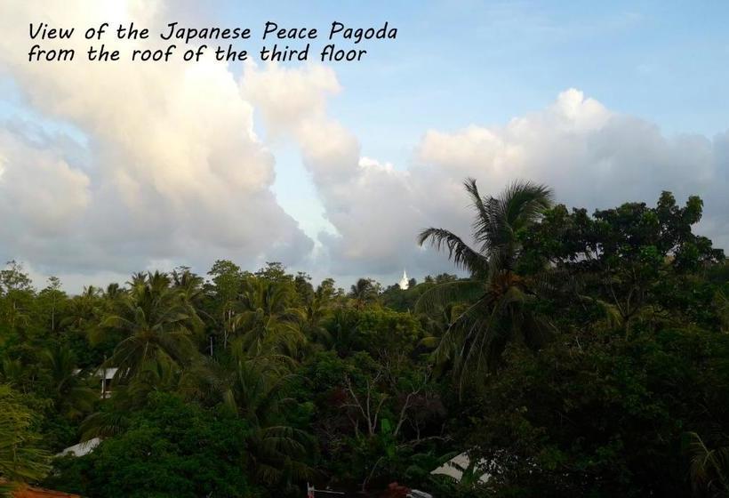 پانسیون Junglevilla