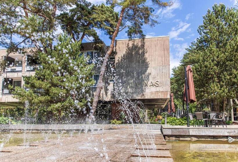 استراحتگاه žilvinas