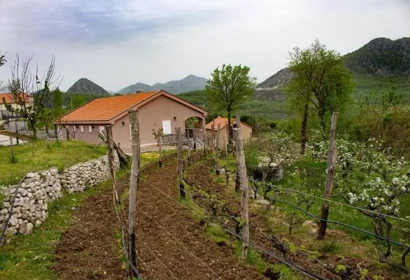پانسیون Guesthouse Djukanovic