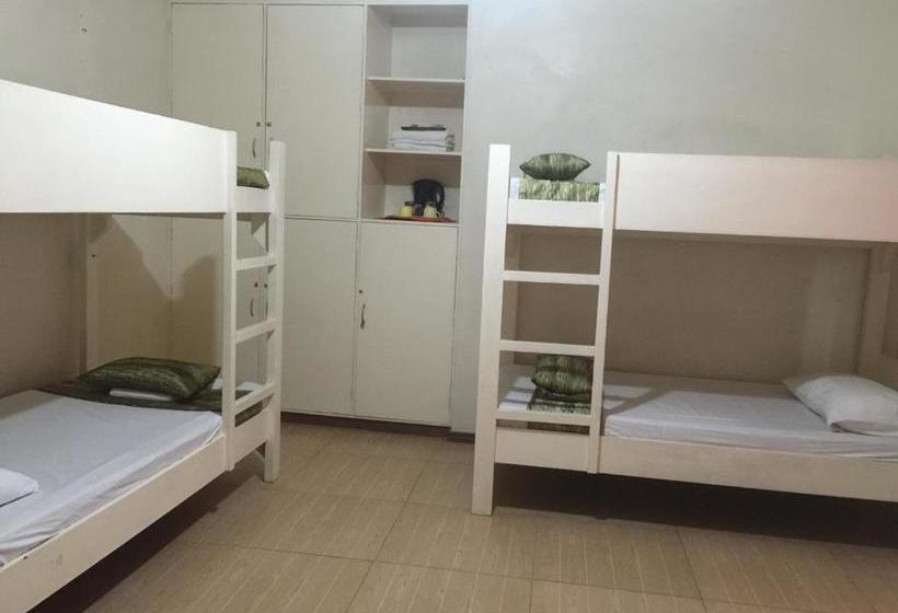 הוסטל Areiv Inn