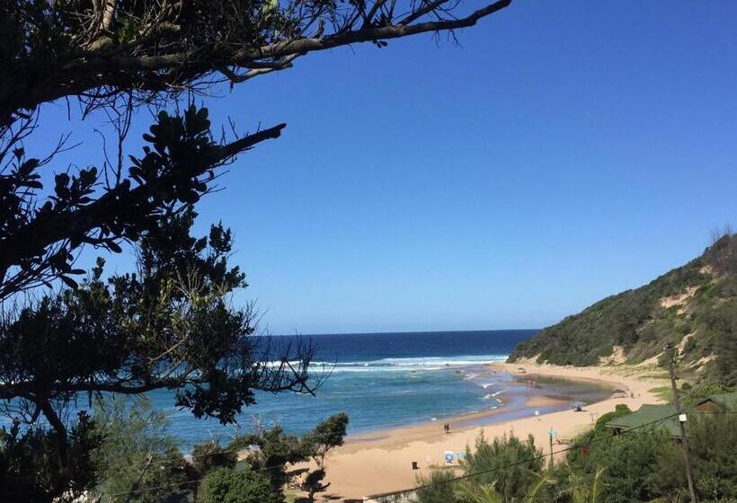 פנסיון Bamboo Room