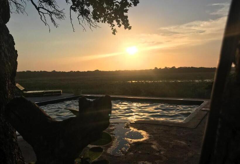 פנסיון Bamboo Room