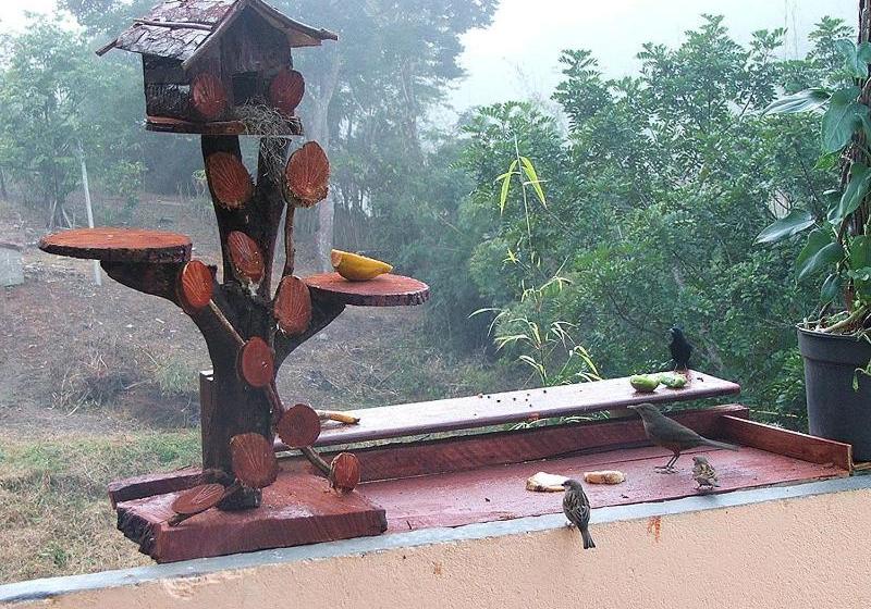 호텔 Pousada Apice