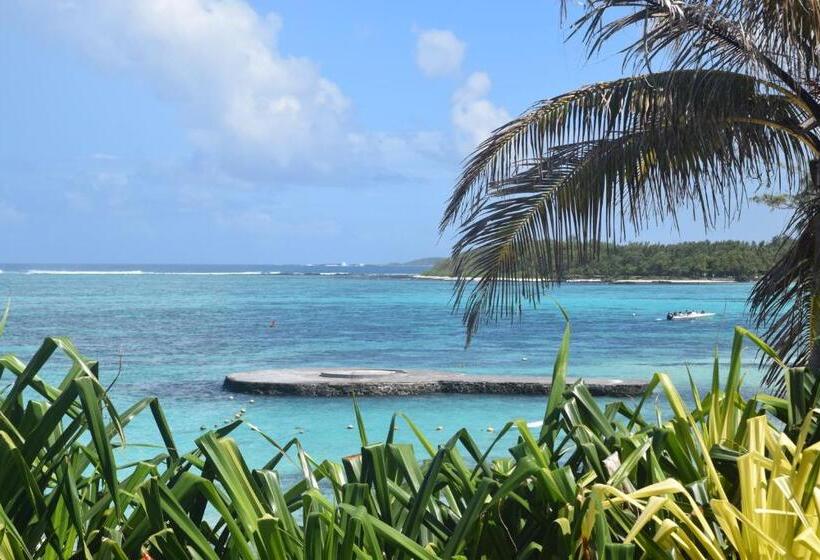 تختخواب و صبحانه Blue Beryl Guest House