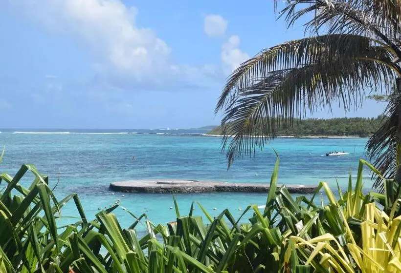 تختخواب و صبحانه Blue Beryl Guest House