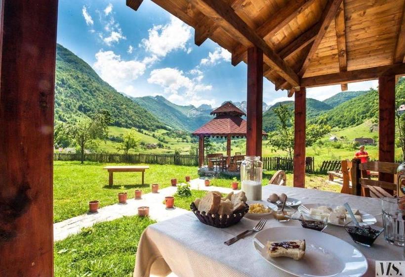 ペンション Guesthouse Alpini