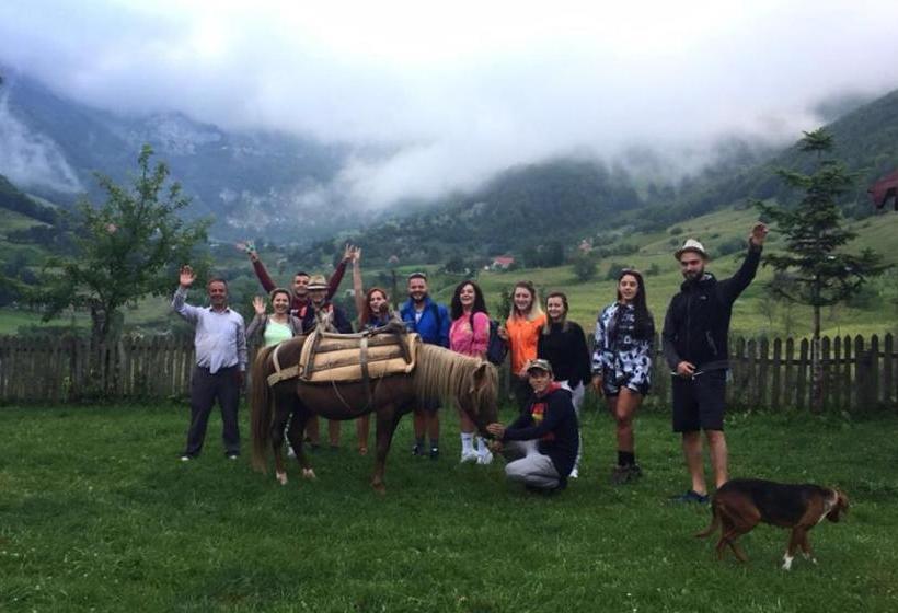 ペンション Guesthouse Alpini