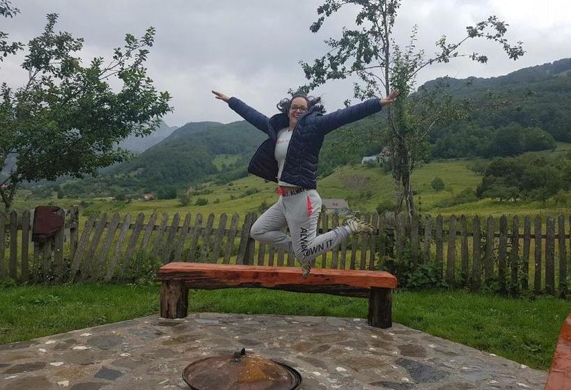 ペンション Guesthouse Alpini