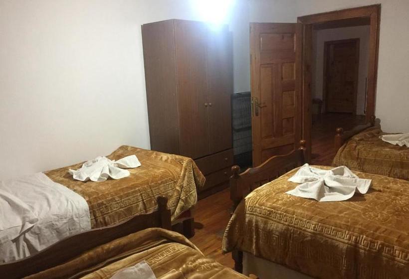 ペンション Guesthouse Alpini