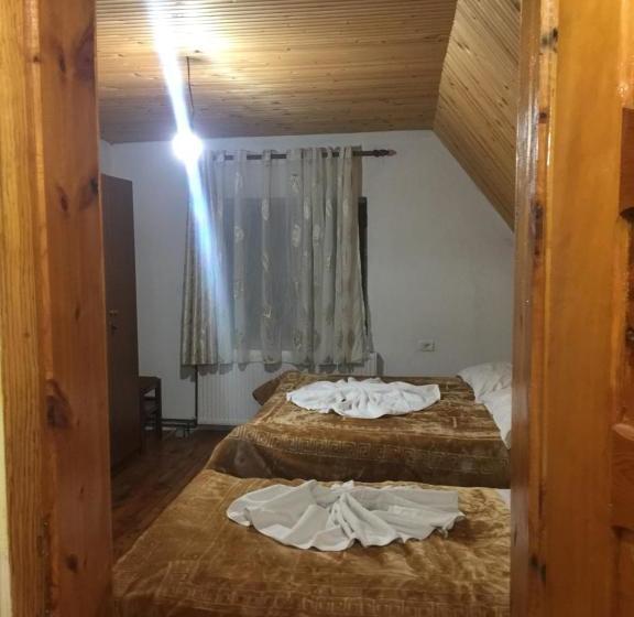 ペンション Guesthouse Alpini