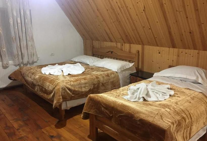 ペンション Guesthouse Alpini