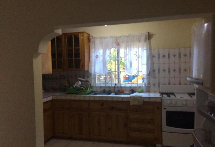 پانسیون The Nest Guest House