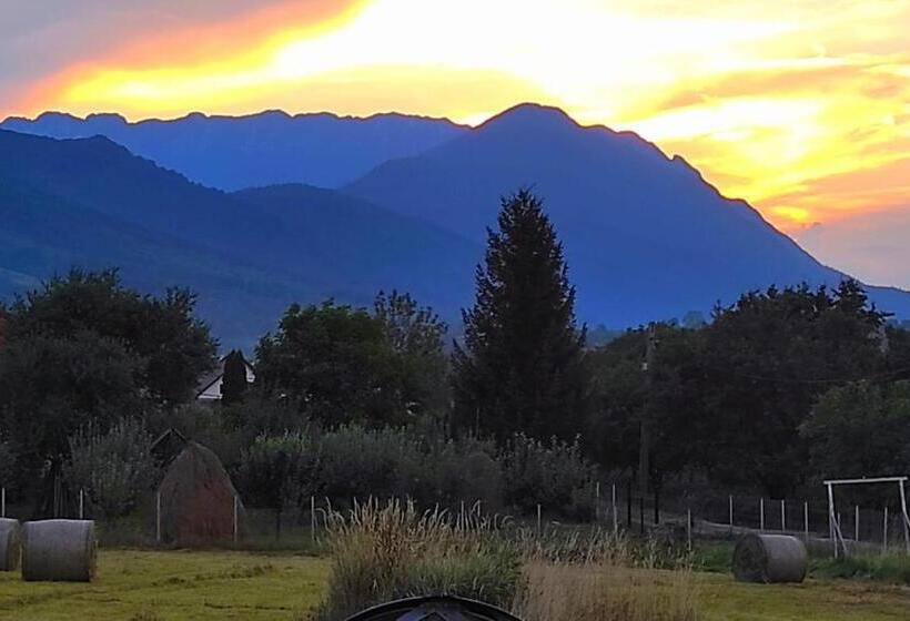 פנסיון Villa Siana