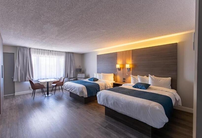 旅馆 Auberge L étape