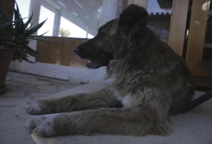 ペンション Casa Da Mata Surfhouse