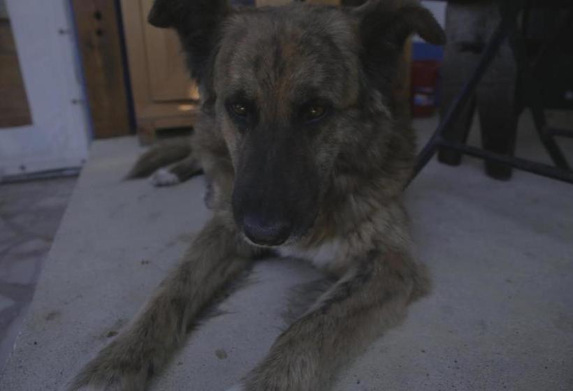 ペンション Casa Da Mata Surfhouse