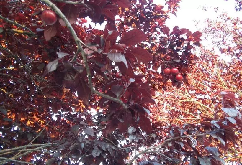 ペンション Elodie S Country House