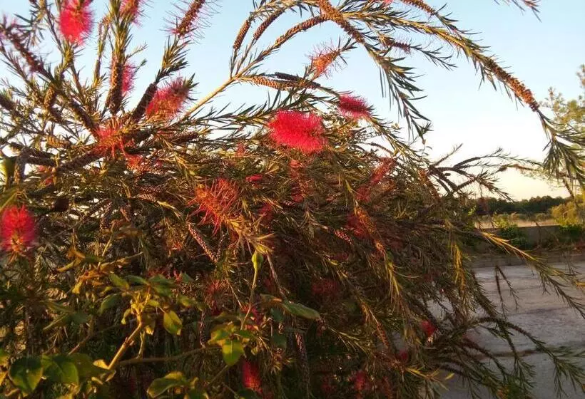 ペンション Elodie S Country House