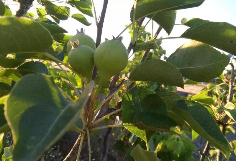 ペンション Elodie S Country House