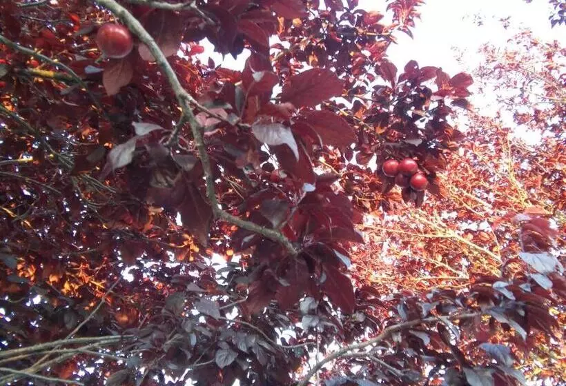 ペンション Elodie S Country House