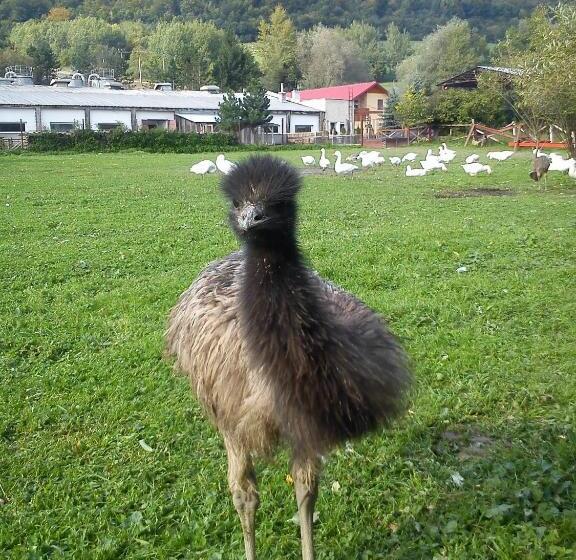 膳宿费 Penzión Drieňovkou