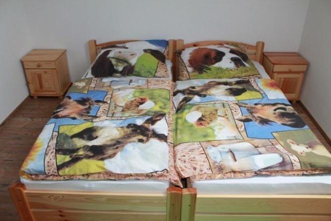 膳宿费 Penzión Drieňovkou