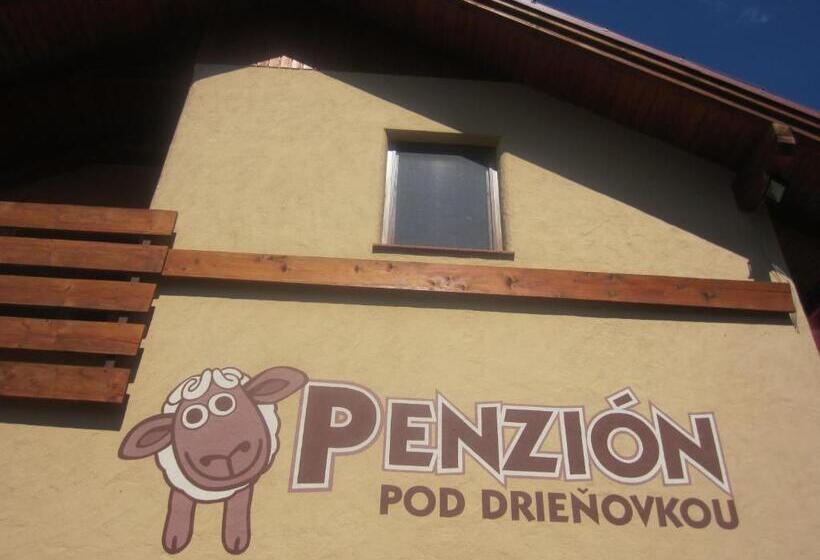 膳宿费 Penzión Drieňovkou