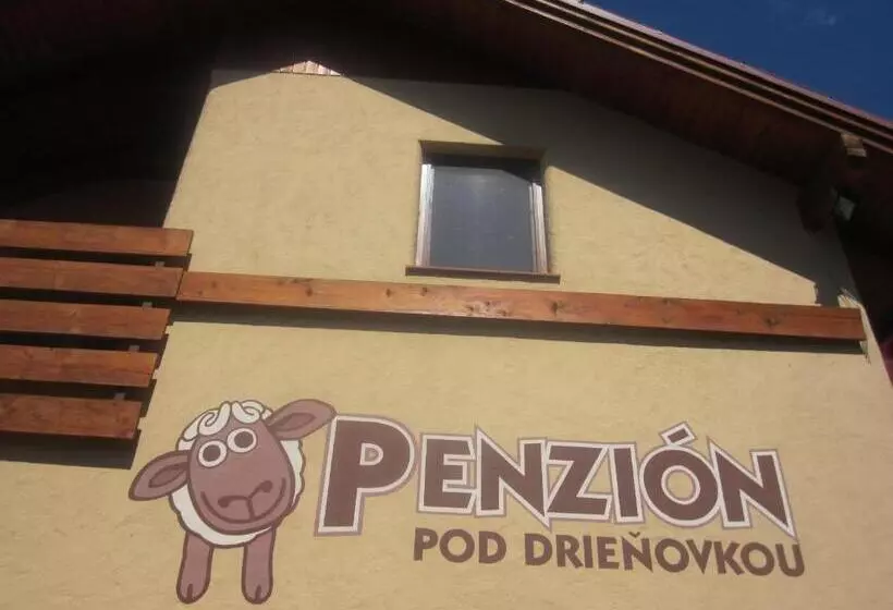 ペンション Penzión Drieňovkou