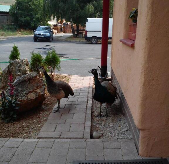 膳宿费 Penzión Drieňovkou