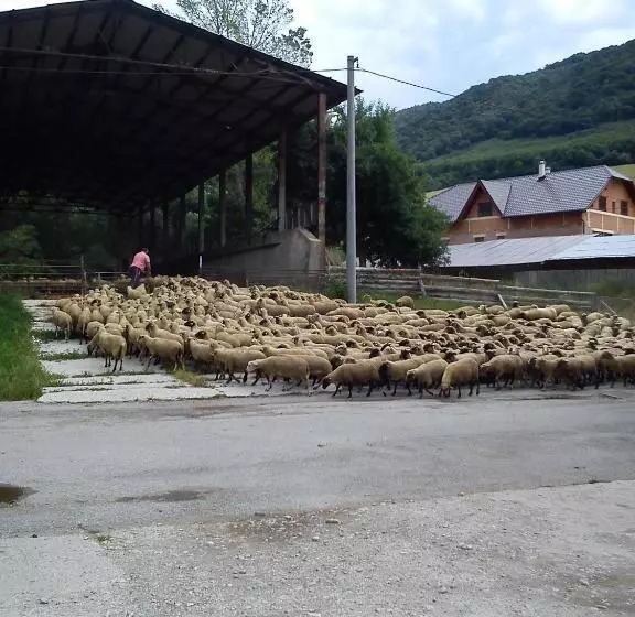 ペンション Penzión Drieňovkou
