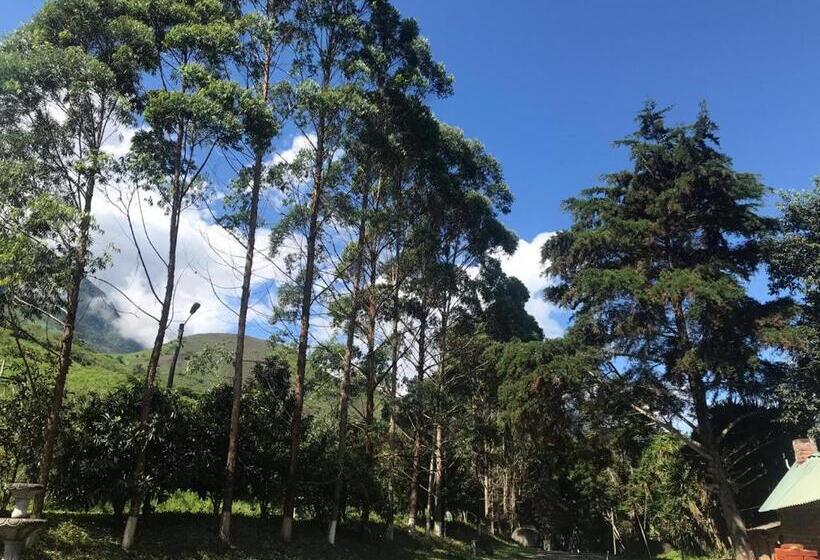 호스텔 Hostería La Eterna Primavera