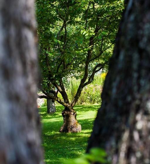 Appartchalet La Rondula