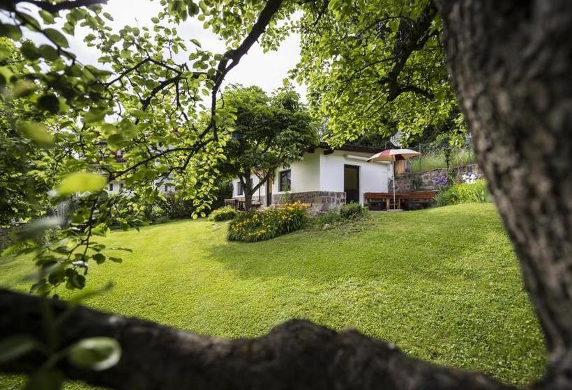 Appartchalet La Rondula