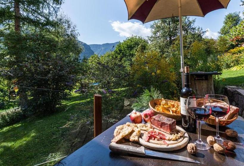 Appartchalet La Rondula