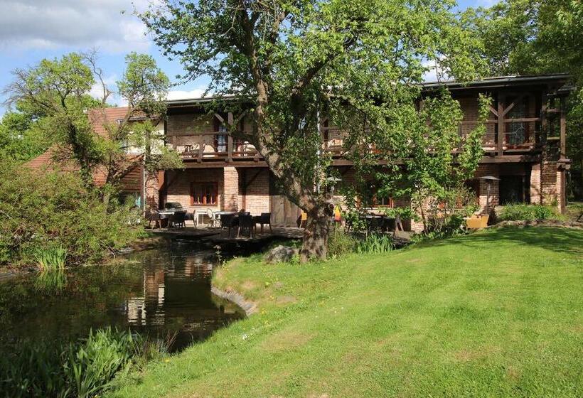 Отель Areal Botanika