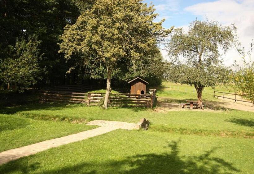 Отель Areal Botanika