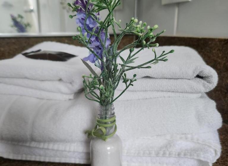 בית מלון כפרי Da Vinci