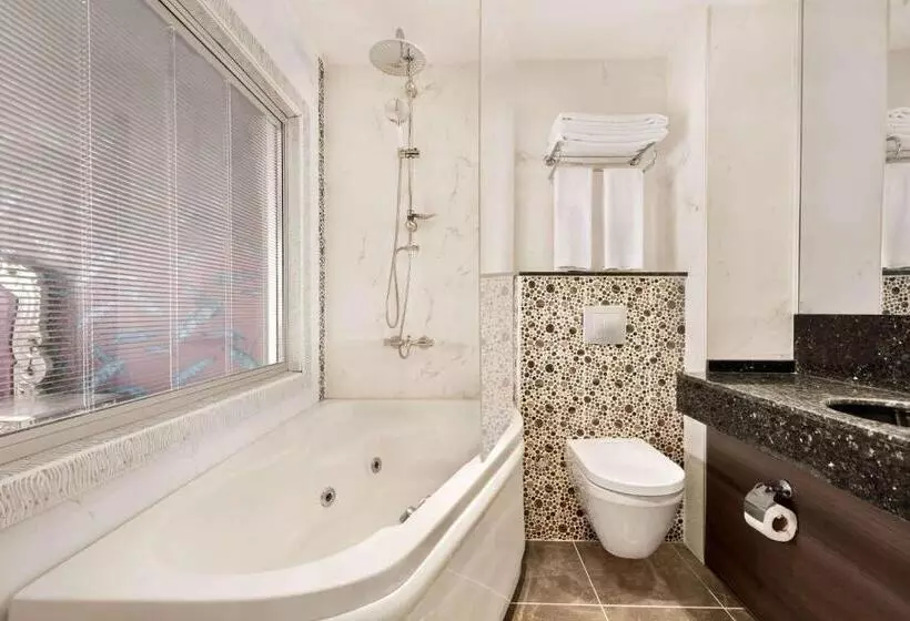 ホテル Wyndham Cerkezkoy