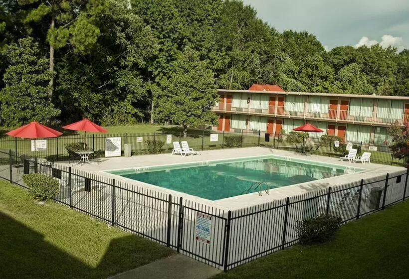 Hotel Express Inn & Suites