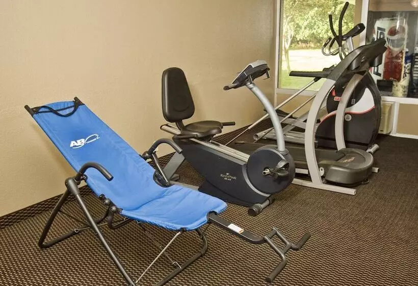 Hotel Express Inn & Suites